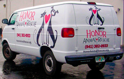 Delivery Van Wrap